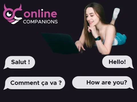 Automatic translations at Online Companions